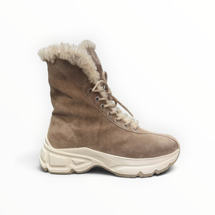 Hogl- Lucky $455