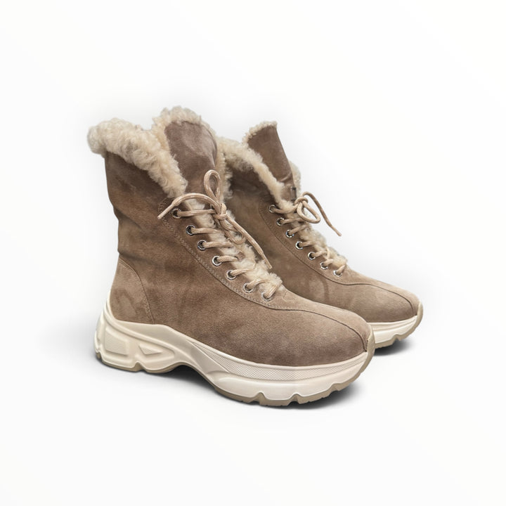 Hogl- Lucky $455