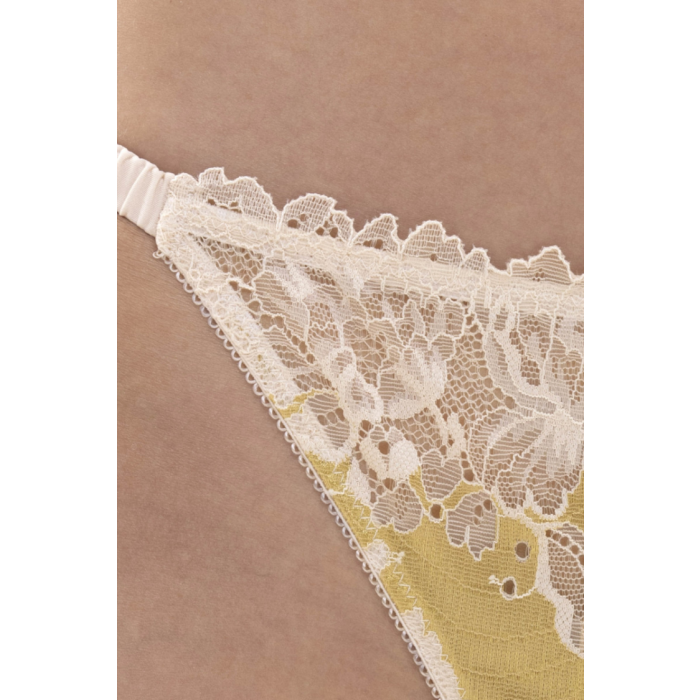 Mey - Poetry Dream Brief